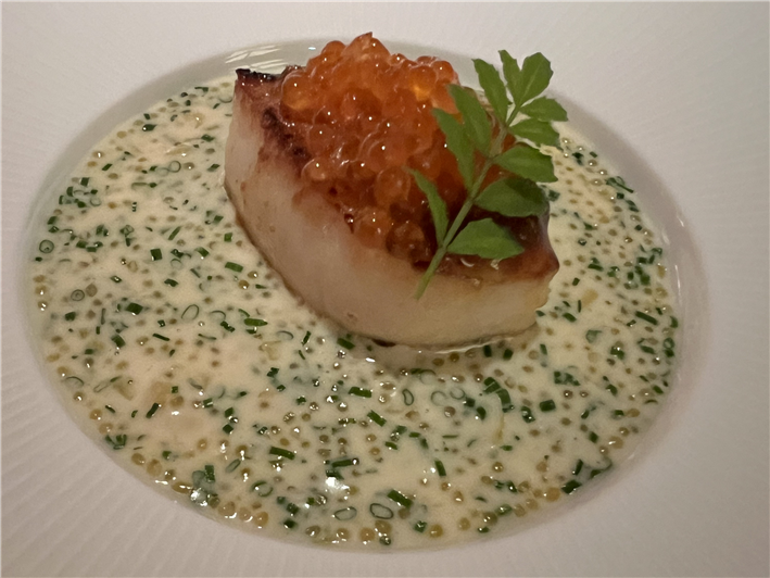 scallop